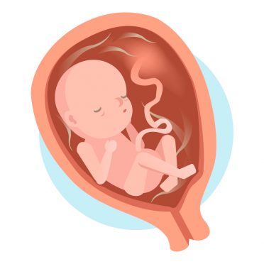 Développement de bébé - 6ème mois 