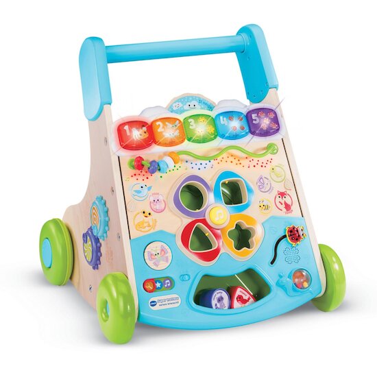 Vtech Baby Super trotteur nature interactif Multicolore 