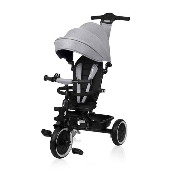 Lionelo Tricycle Berry Grey Stone 