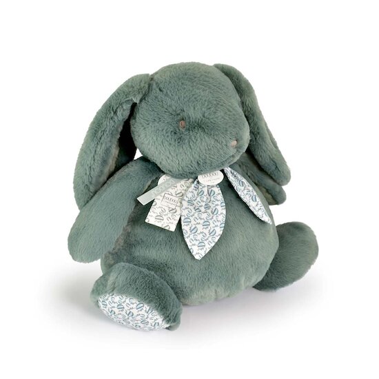 Doudou & Compagnie Doudou lapin pantin Vert 