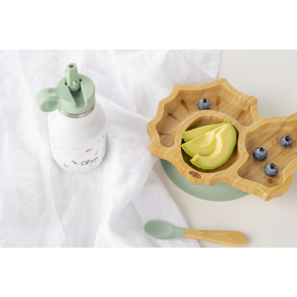 Vaisselle pour enfants dauphin, assiette et cuillère en bambou, couverts  d'apprentissage assiettes avec compartiment, avec ventouse, bambou :  style assiette et cuillère dauphin