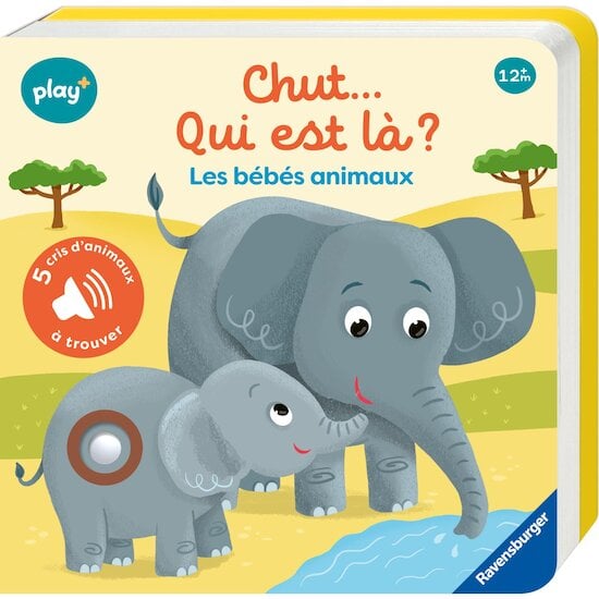 Play+ Livre sonore cherche et trouve Les bébés animauxMulticolore 