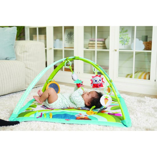 Tapis D Eveil Bebe Achat De Portique Pour Bebe En Ligne Adbb