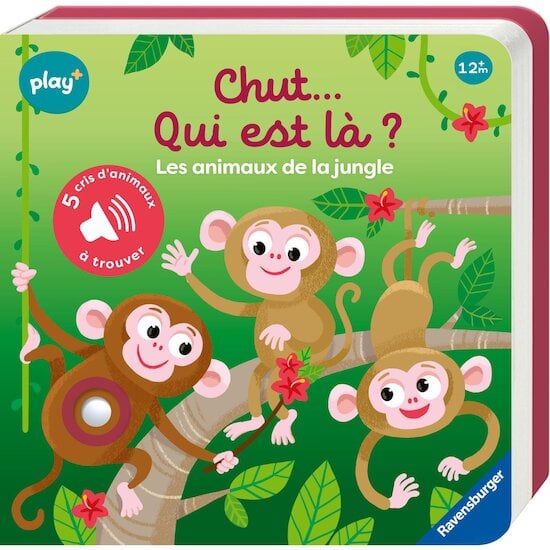 Play+ Livre sonore cherche et trouve Les animaux de la jungle Multicolore 